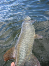 a03db306-c944-4e1f-bb1b-0106c77c4451