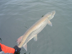 a2f1ad9d-3793-47ce-bbe4-2a0802a41230