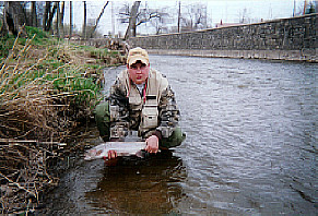 a5b3ad51-858a-4441-902d-5c0534d8af28