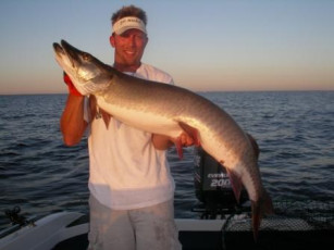 a72a2b38-c22e-4188-8bc0-3ece718c9b89