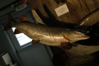 a758bac1-1716-40cd-a963-e74e1a42138a