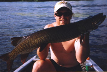 a8332338-07ca-4174-9590-75c1824044c9