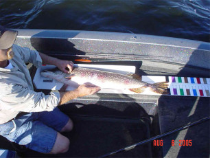 aa89e706-3328-461d-88ef-b508f1b0de0d