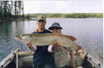 abf83e18-b741-4054-83b6-e7db9b6b8cfe