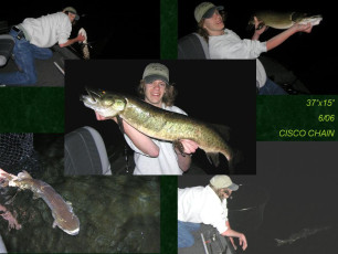 ac8dccc1-6b7a-451c-bf88-2223d86e4a6b