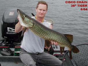 ad88621b-1b4a-43bd-8d67-65938eabe2ae