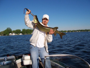 b0b29526-edc7-4950-8a92-9220d28e32c9