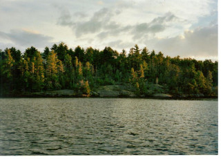 b2b801d8-5c0c-466f-a29c-18760a107aea