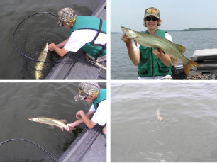 b2d0d8ec-8802-43d8-81d9-8dd25d33b293