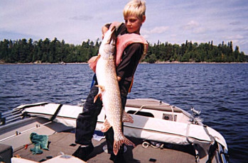 b35cf05a-03fb-4407-85bb-81ce2dd2f944