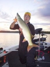 b3780863-0d44-4fa3-8c25-6ab97089b5f2