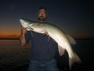 b42c08a4-e909-4ee4-ab21-89eebecce253