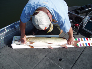 b460b1a6-4cd0-4e23-871b-67a5c52079ae