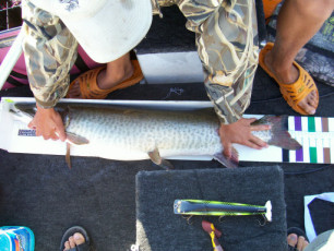 b4a1c17a-5039-41be-ab01-04051f0f7c9e