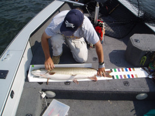 b559f57e-c1ed-4200-afe0-957cc1957d25