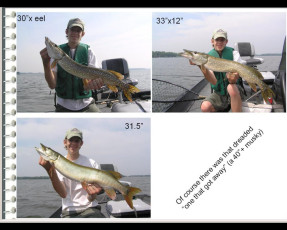 b5a7e091-abef-4d75-9071-0cb8c51d0df4