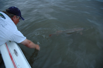 b73a102b-fec0-4078-a323-711a436a9f1e