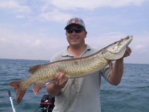 b96334f4-86c5-47f3-882c-e430bc70d4ae