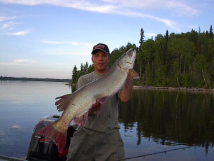 ba3cf378-6b39-4338-8eb1-ad8bc780f7ff