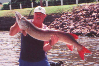 ba68e00b-02c9-4d47-af43-0a42a06ea700