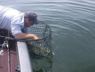 bac32380-704c-4bc1-9ad4-5fe4a2a4f783