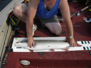 bb04170d-27e8-42ce-9ebe-beac28117cbe