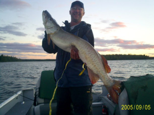 bb36bacf-f9be-4a78-8e1b-ab1f9fc67f86