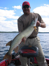 bb4dce28-b11c-43d2-8167-cefb3df52fcf