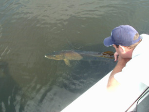 bb5e84a1-0070-48c0-b5ac-793e3bc0db9b