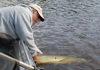 bce2ee4d-dc56-48e0-b4ac-f90e065a690b