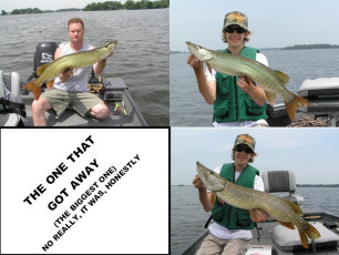 be11d302-a888-4fd9-ba8e-5d322d07fd42