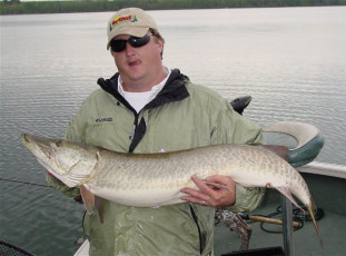 be59239a-c8fd-442a-a82a-53d0dc290c1f