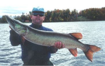 bf1859e7-0614-436f-80e5-9dcf8234d43e