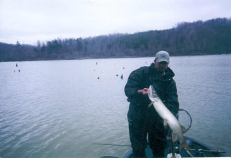 bf3f8e7b-43cd-416d-bda7-a0b36c7b8431