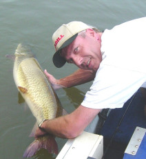 bfa2608a-146a-4dd4-93e7-56c198fc3cae