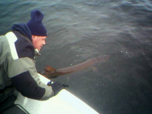 bfe8c92f-a67a-438d-9e08-059ce5a3346e