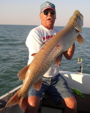 c0b97e83-bbda-463e-a020-59f7f12a06b2