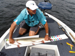 c1bdd014-f417-47da-80bc-8dee84ee8bac