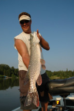 c2014c81-e4d1-4cc2-86fb-fb3762a41434