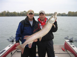 c3146d7e-875c-44d2-9fb8-63b97beada20