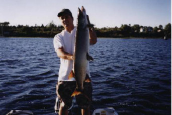 c39a9f1a-7dc2-4309-863a-9375ad9e4cbe