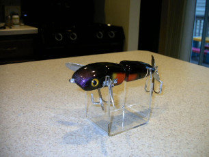 c4331859-2626-46eb-ba56-205213a80c9c