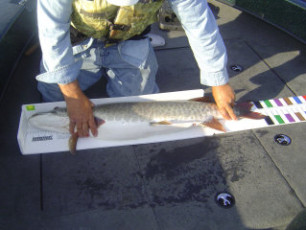 c5655e2e-0877-4383-8aac-f05cf0883fe0