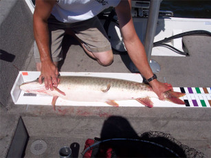 c63034ce-ea10-4cf1-b529-b326474e233c