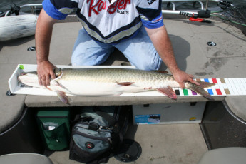 c69dcf3c-a7a3-4837-b847-e7eb13412df9