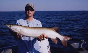 c7093b30-d8e6-470a-9d9b-d851ee41d0d2