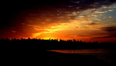 c7342a51-1229-4b0e-a707-e441a4577198