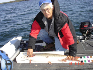 c8aa8d9e-5af7-40e8-a331-71425b0596f6