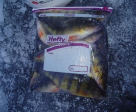 c918dfe9-02dd-47bf-93f3-4d7121905525