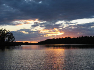 c98e7c77-077a-47d9-962c-c3703de583ba